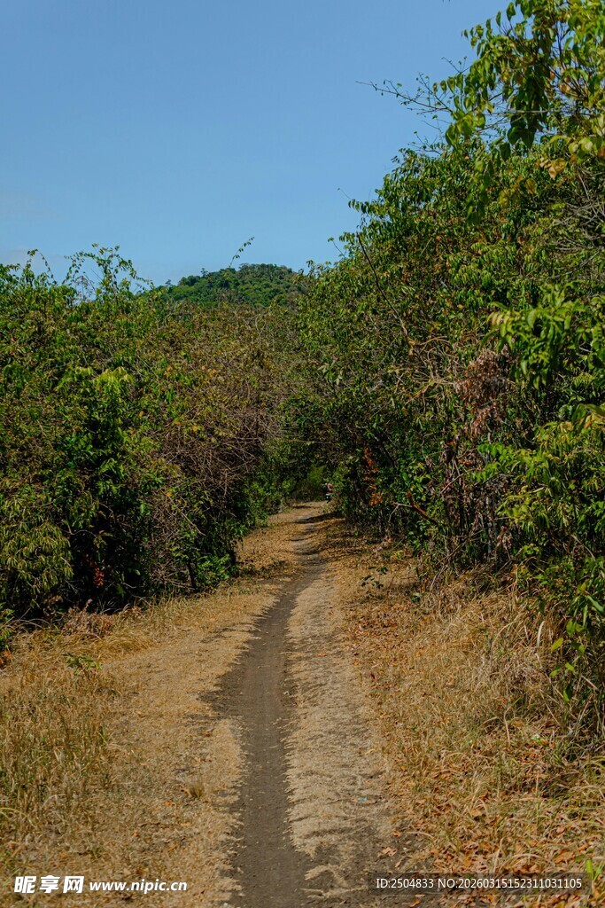 山间小径 绿意相伴