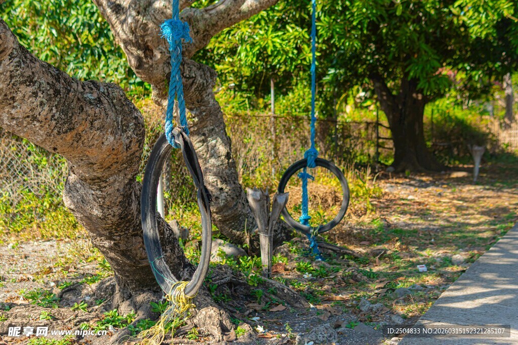户外林间的趣味轮胎秋千
