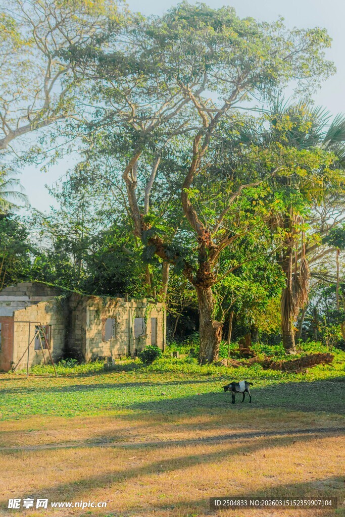 乡村林间小屋风景