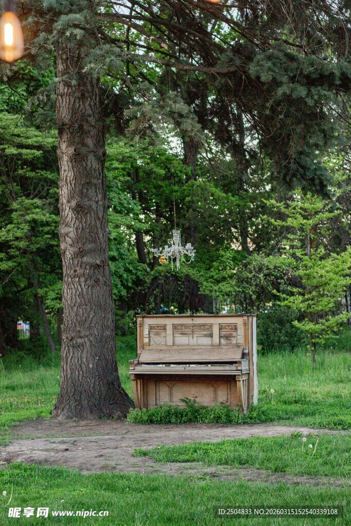 林间长椅 静谧休憩之所