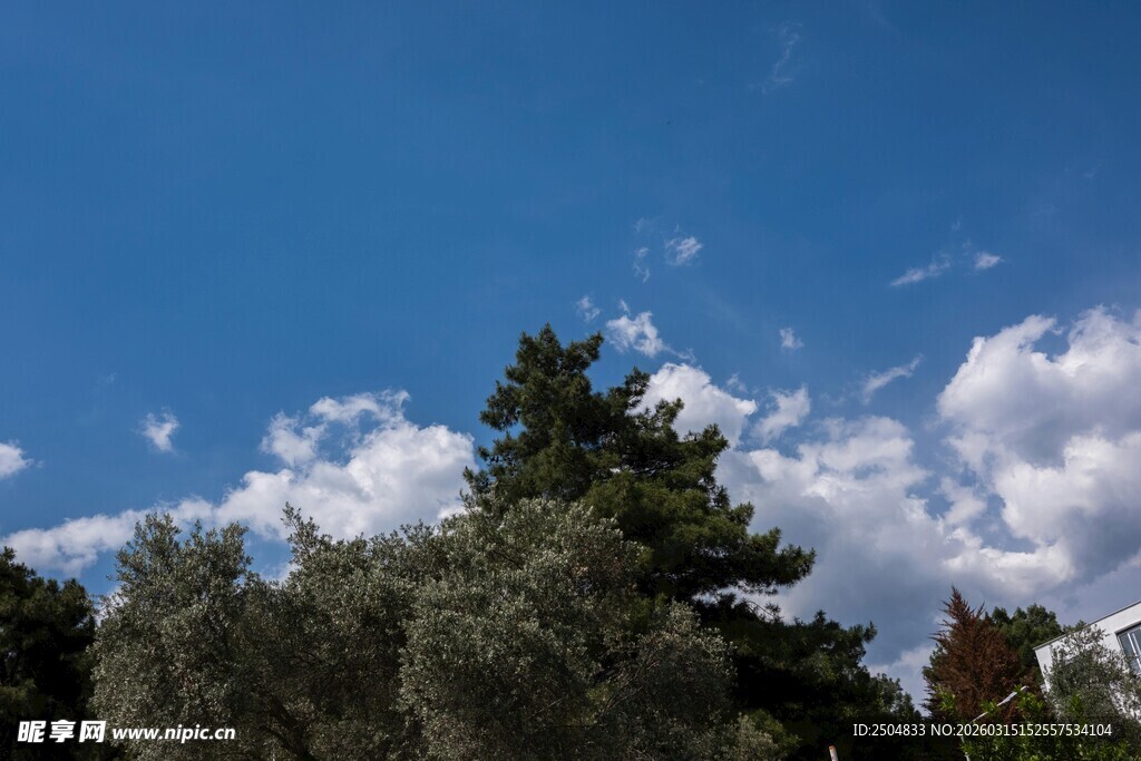 蓝天绿树间的白云美景