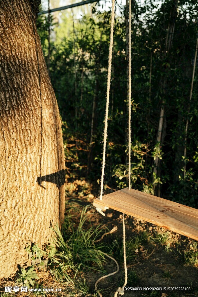 户外秋千挂在树干旁