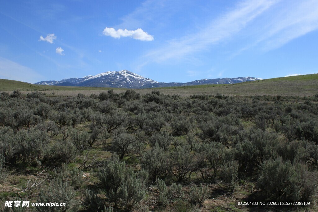 广袤草原与远处山峦