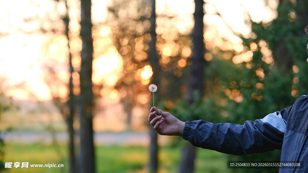 指向远方的身影