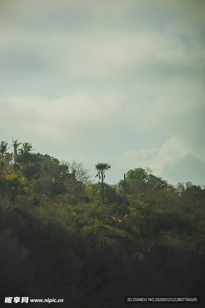 山间绿意 天空云雾弥漫