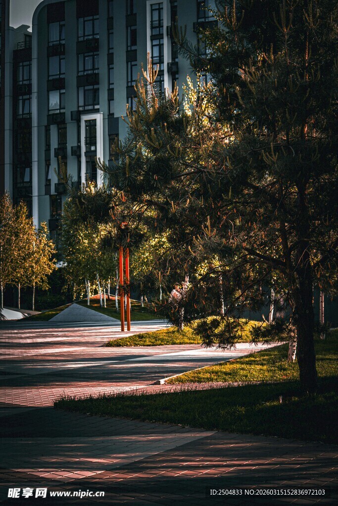 秋日小区林荫道静谧景致