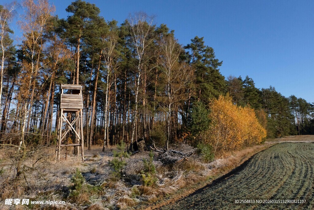 田野旁树林中的观景瞭望塔