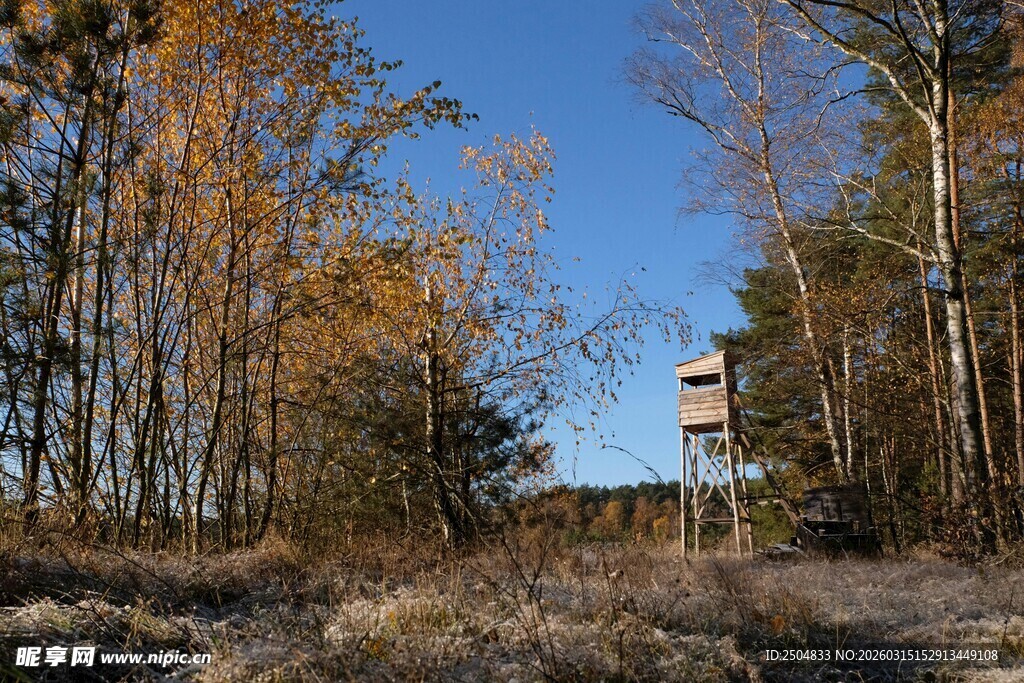 秋日林间瞭望塔