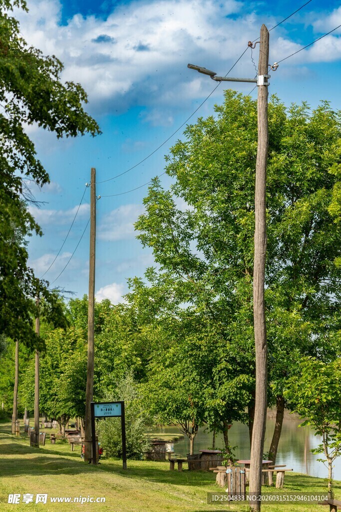 户外电线杆与绿树景观