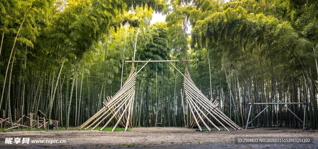 竹林中的秋千吊床