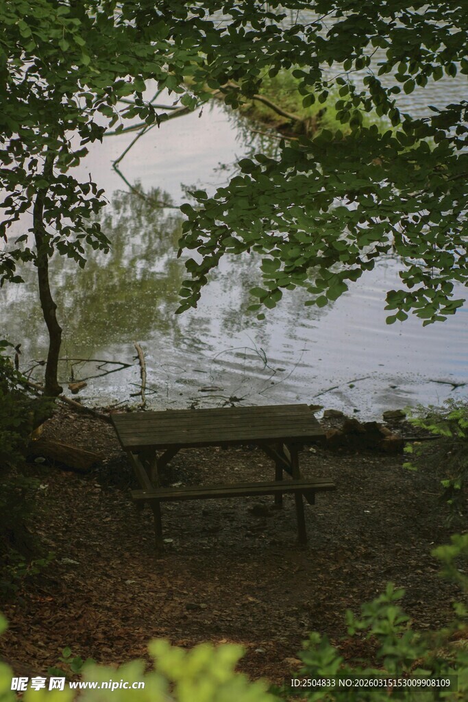 湖畔林间的静谧休憩处