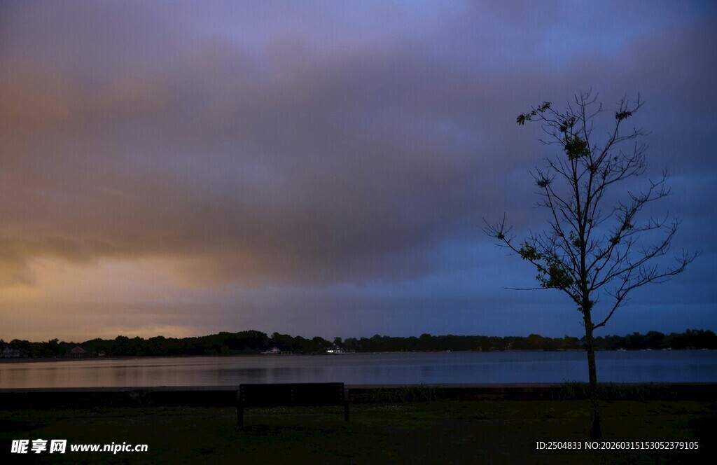 黄昏独树 湖畔静谧风景