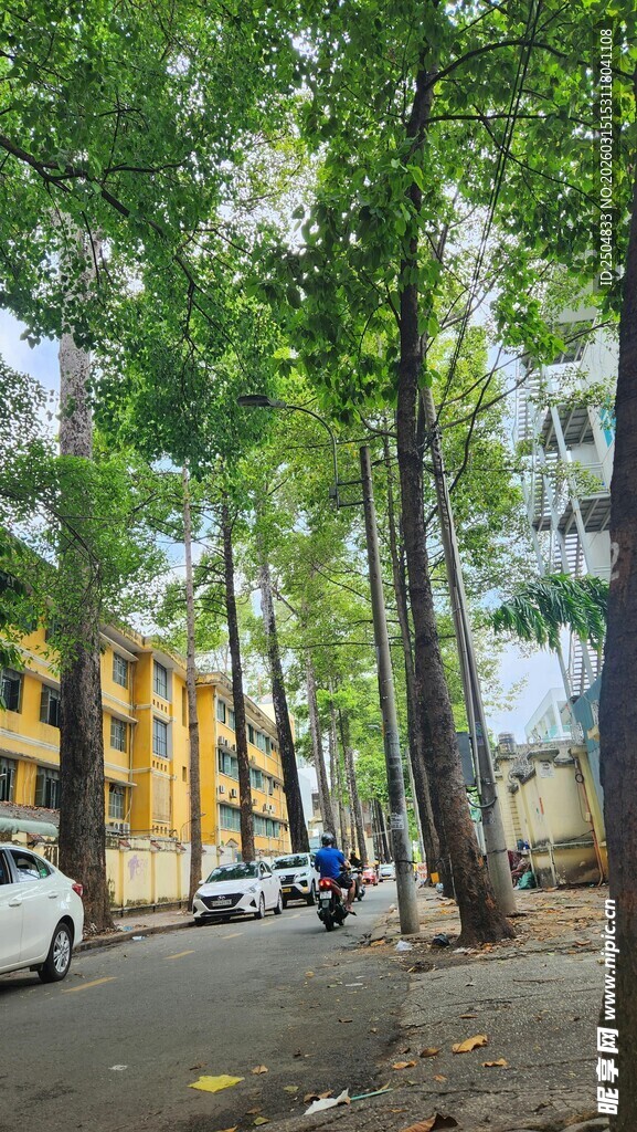 林荫街道 车辆静停