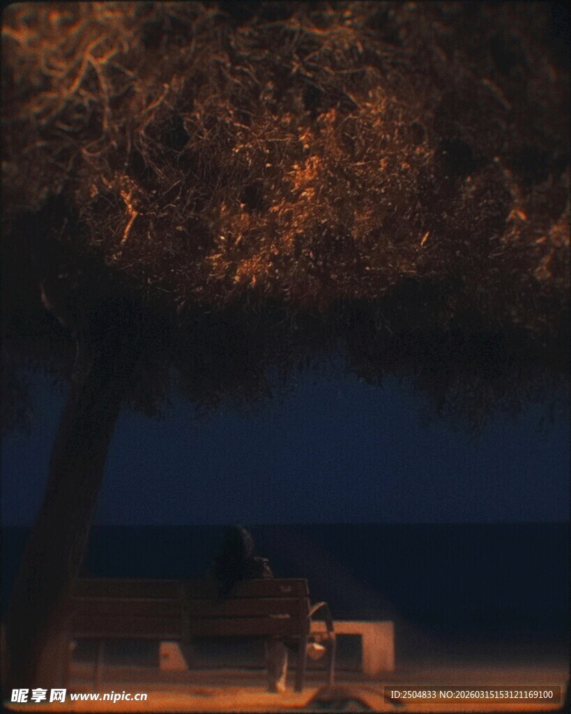 夜晚树下的静谧场景