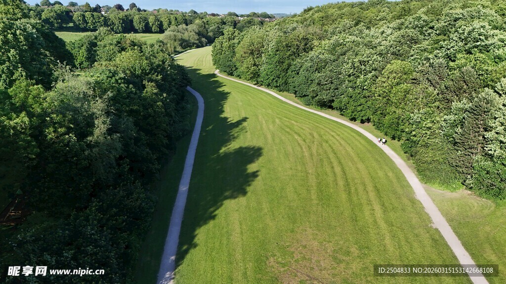 蜿蜒绿野间的林间小路