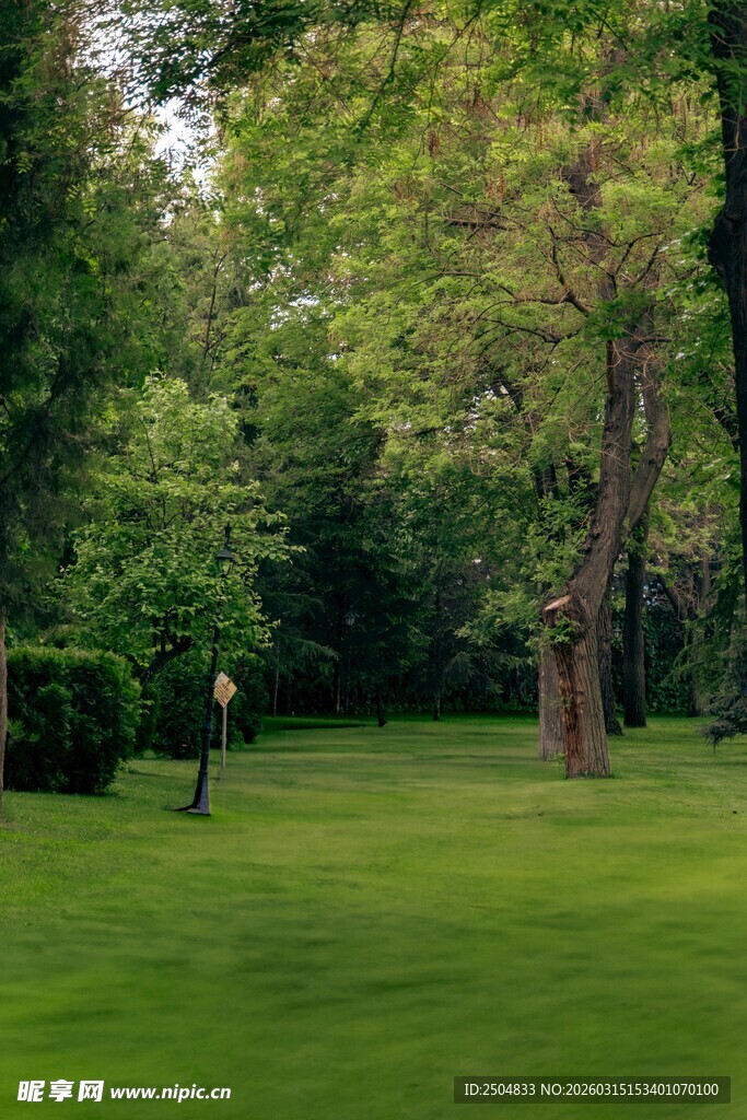 绿意盎然的户外休闲草地