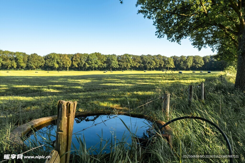 田园牧场景致中的静谧池塘
