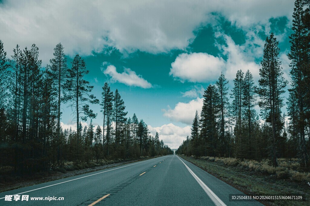 公路穿行于葱郁树林间