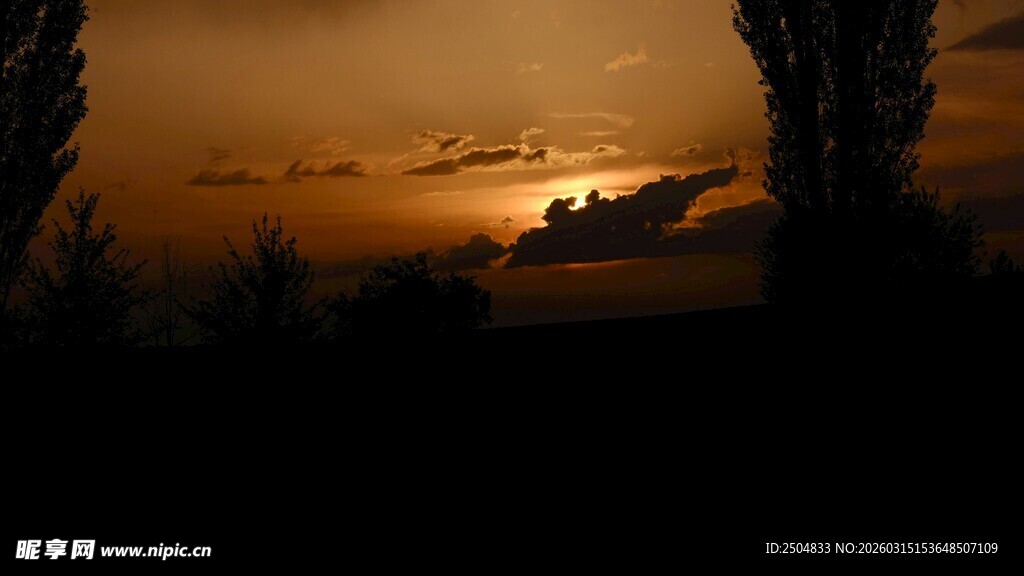 夕阳下的树木剪影