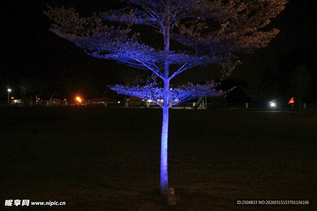 夜间蓝光树景观