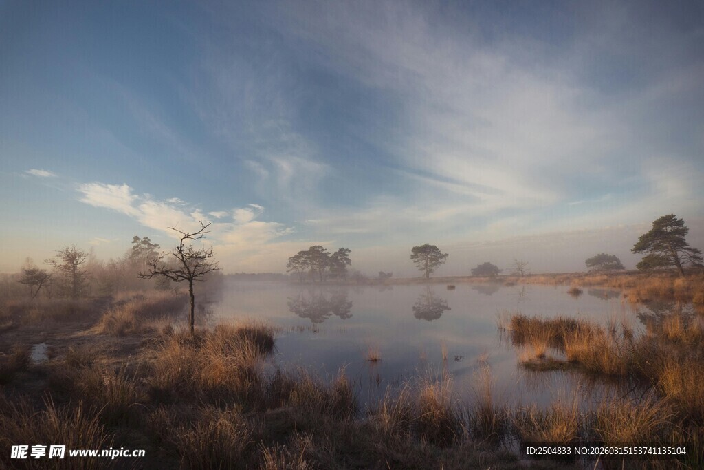 晨雾笼罩的湿地风光