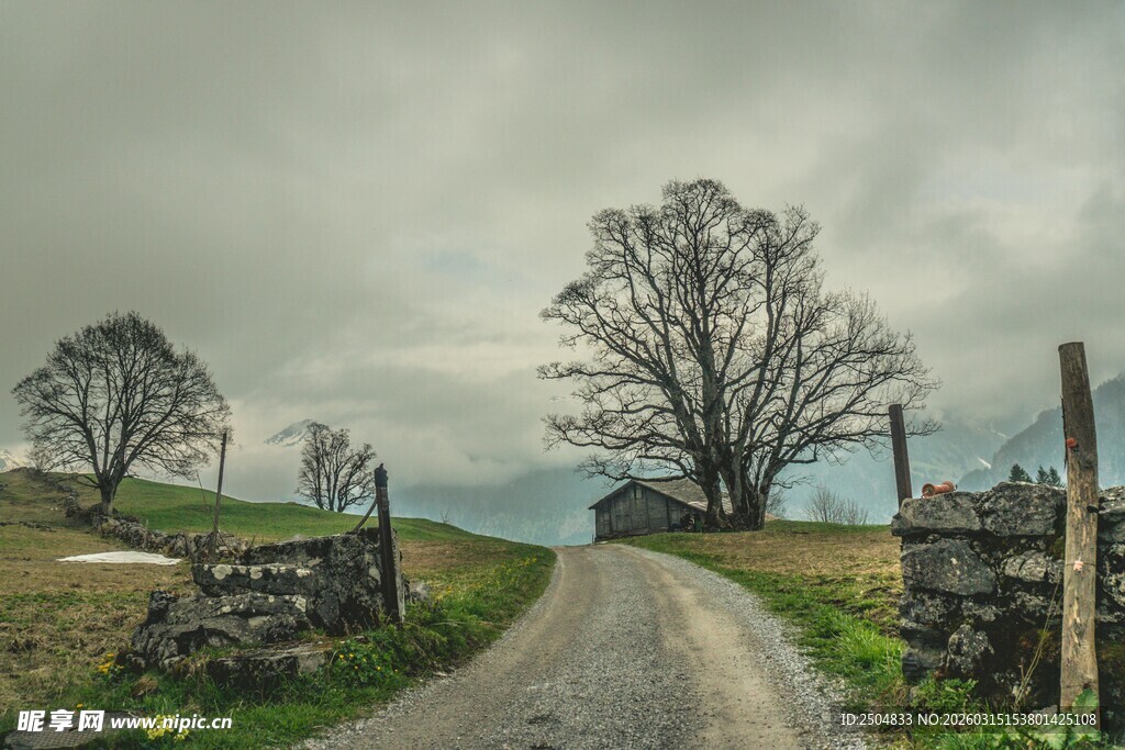 乡村小路 静谧田园风光