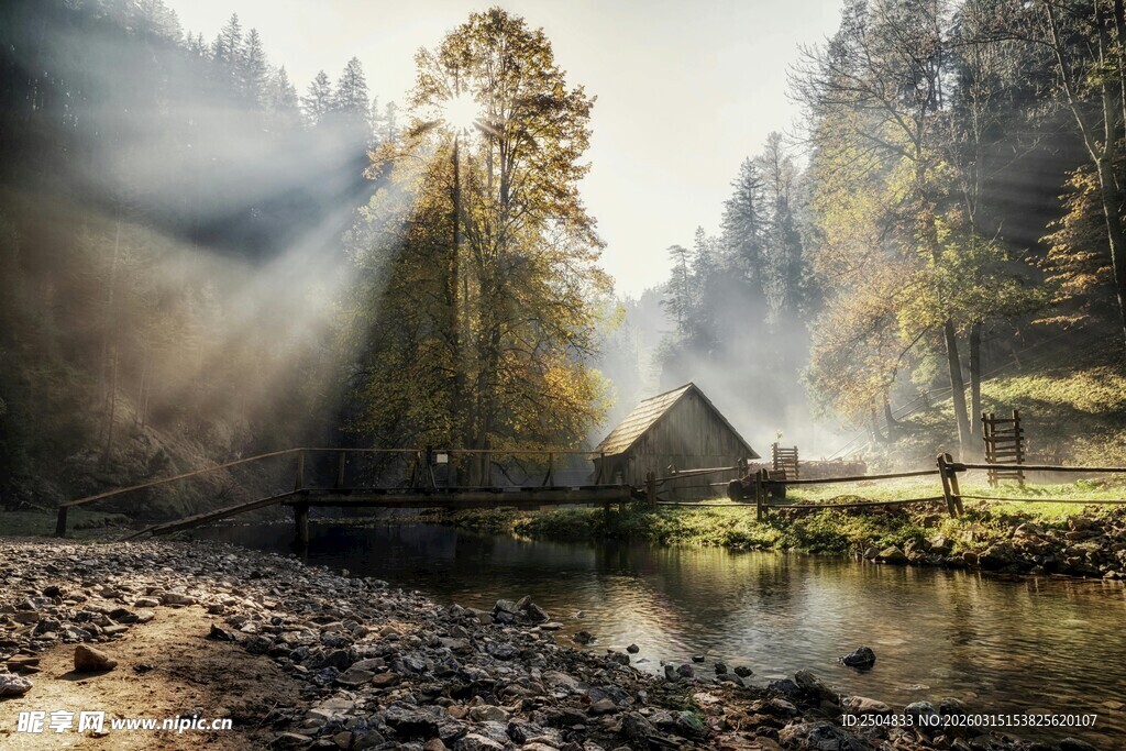 林间溪边小屋的静谧晨光