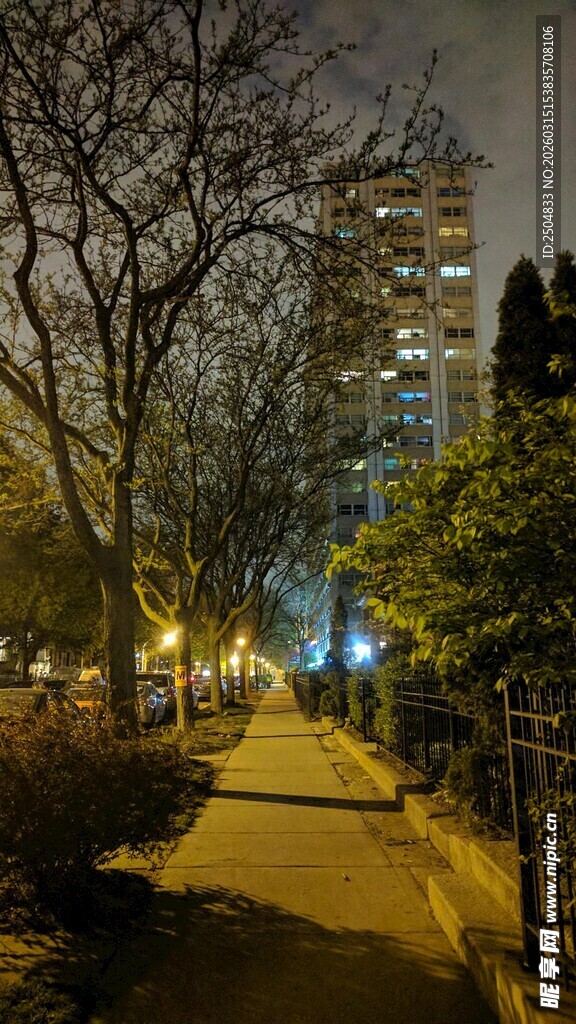 夜晚静谧的城市林间小道