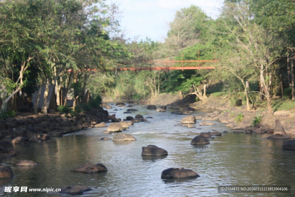 林间溪流 自然静谧之景