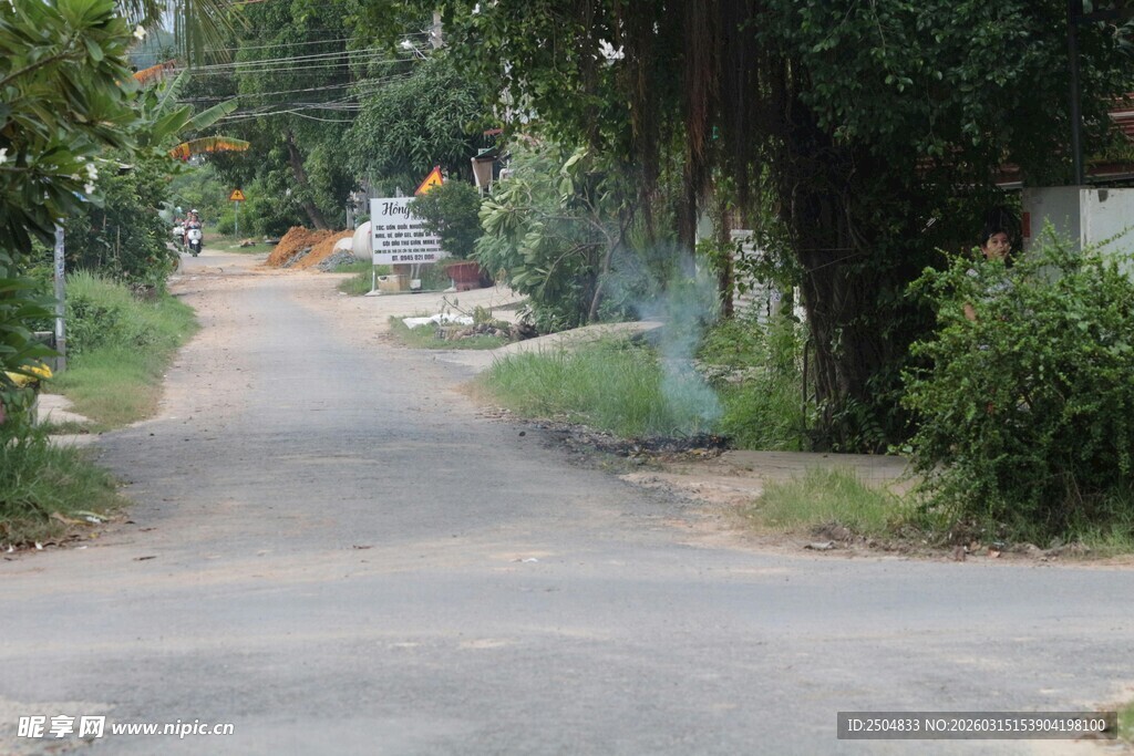 乡村静谧小路 绿意环绕