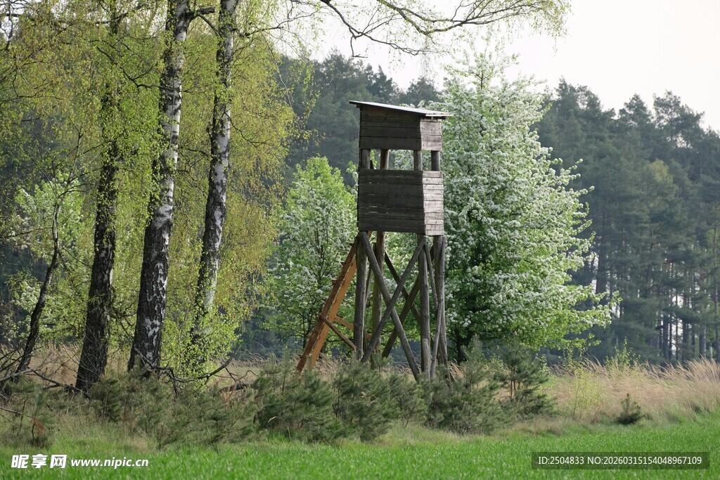 森林中的木质瞭望塔