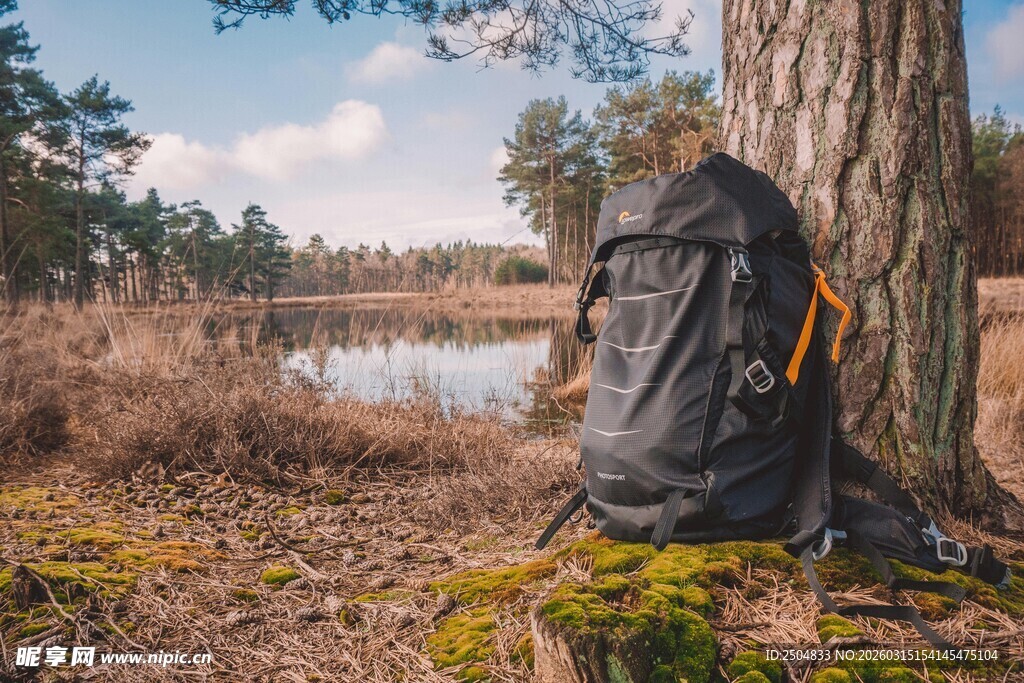 背包倚树旁的静谧户外景