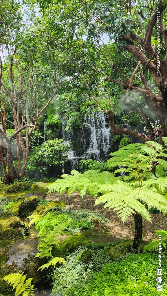 森林中的清新自然小瀑布