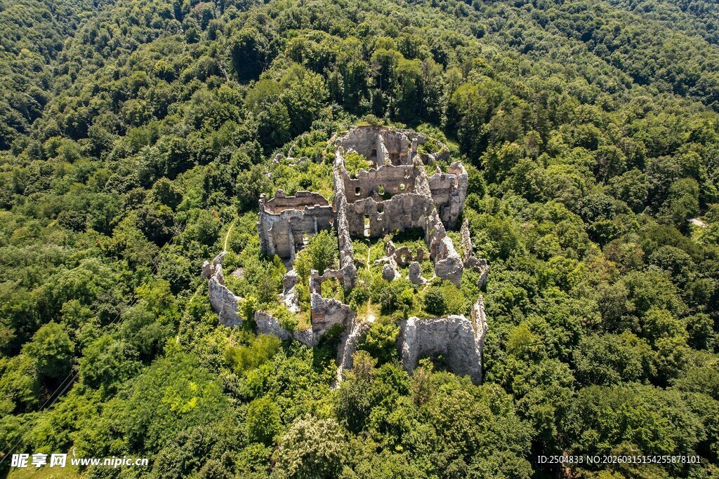 丛林中的古老废弃城堡