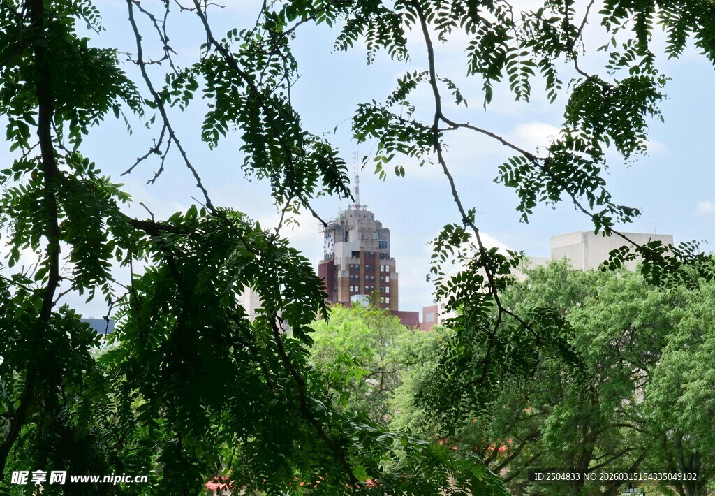 绿树掩映中的古老建筑