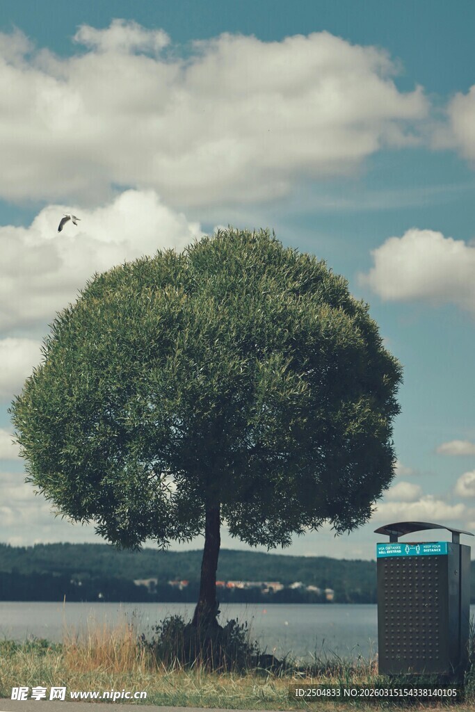湖畔孤树旁的蓝色小屋