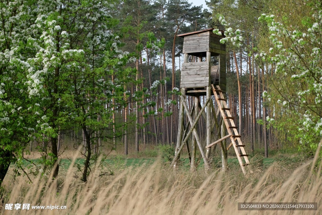 野外木质观鸟塔