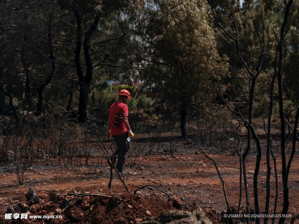 森林中徒步的红衣男子