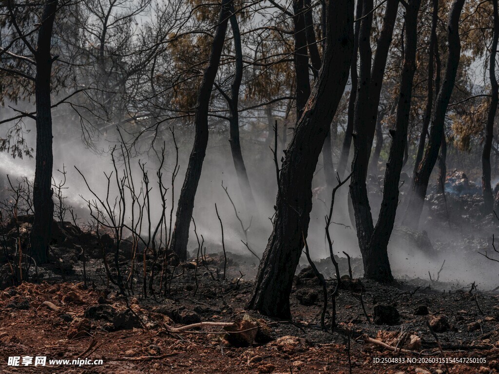 森林火灾现场的灭火行动