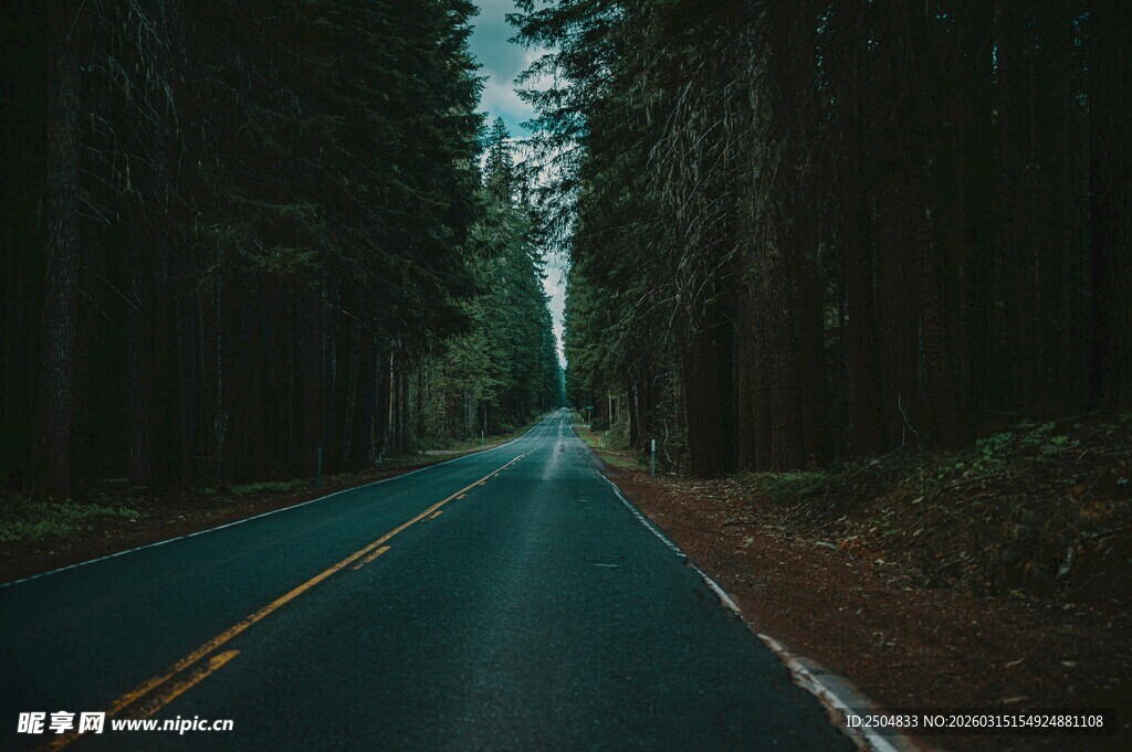 林间公路 静谧的自然之路