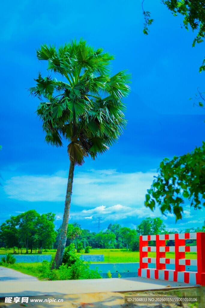 蓝天绿树旁的红色围栏景观