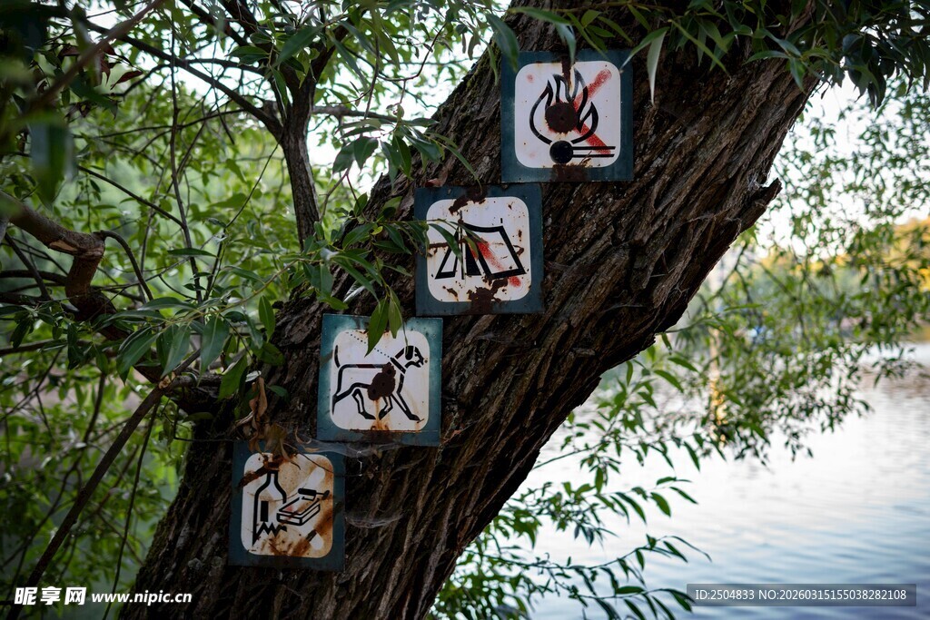 树上的特色装饰标牌