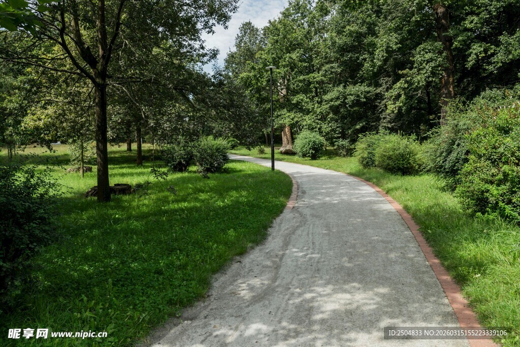 林间幽静小路 绿意盎然