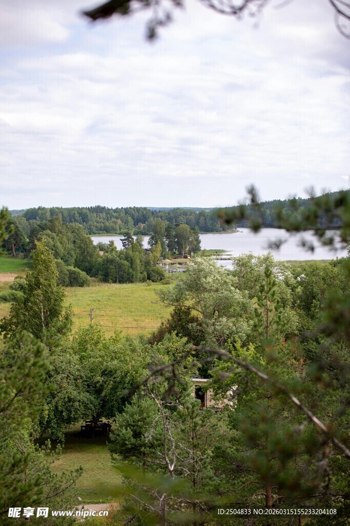 林间远眺的开阔田园风光