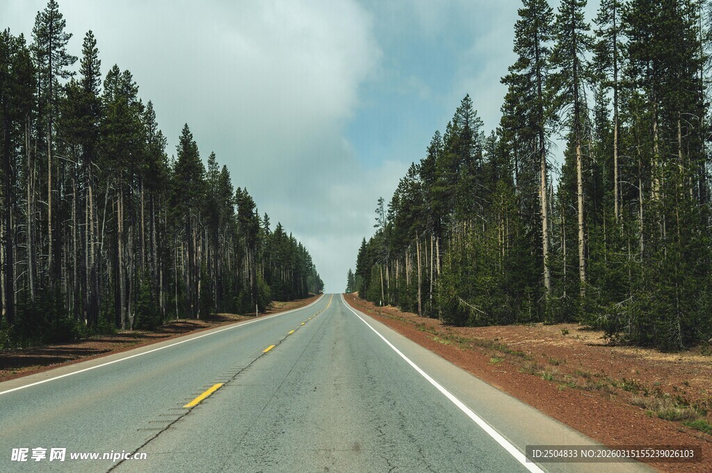 林间公路 通往自然深处