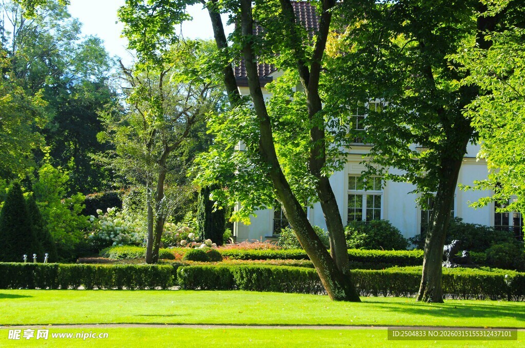 绿意盎然的庭院美景
