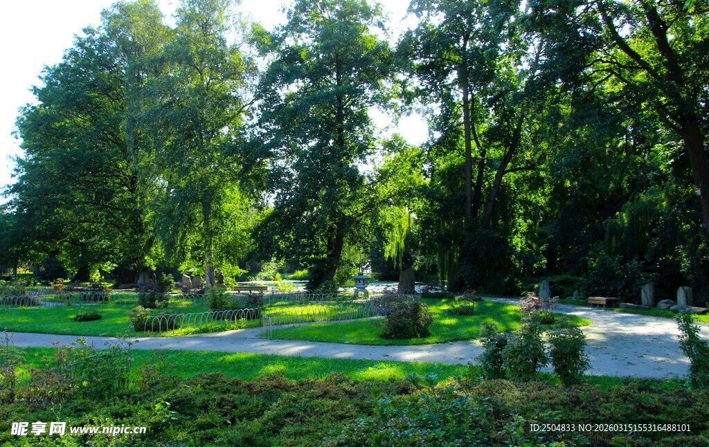 静谧林间草地景观