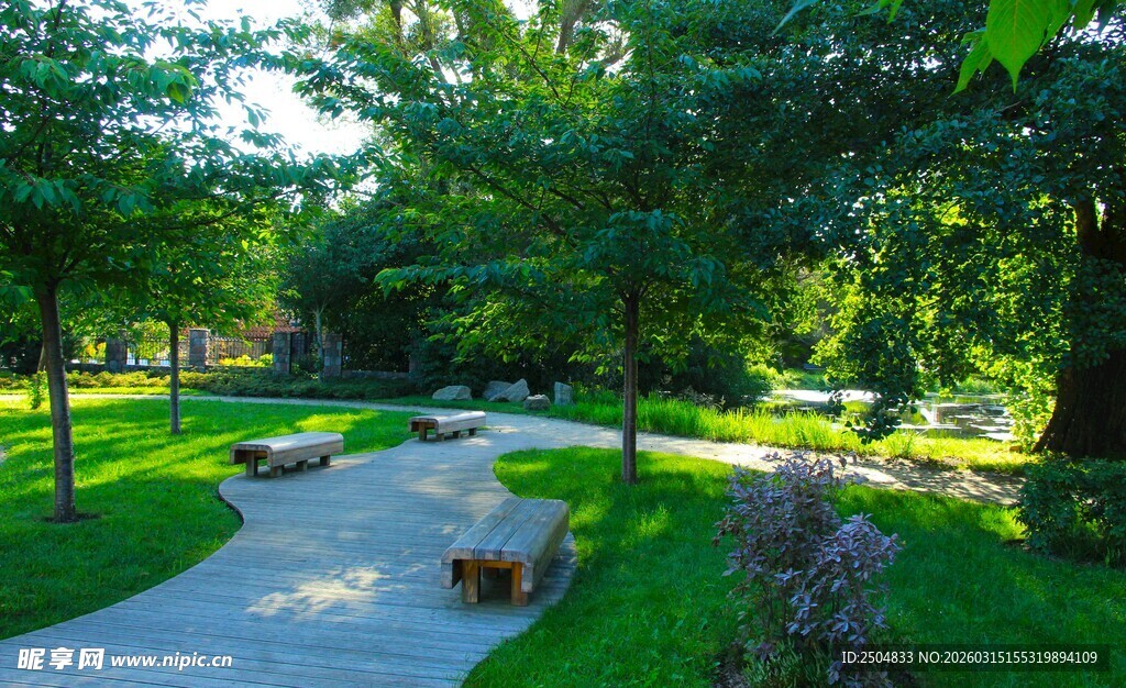 夏日静谧公园小径景观