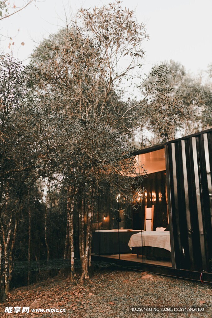 林间木屋 静谧的自 居所