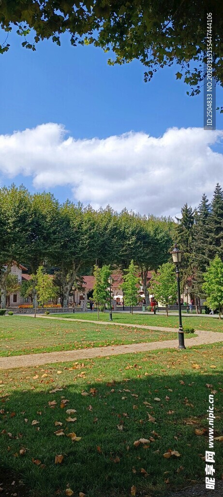 户外绿意盎然的公园风景